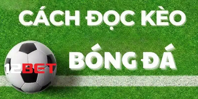 Cách đọc kèo bóng đá chi tiết